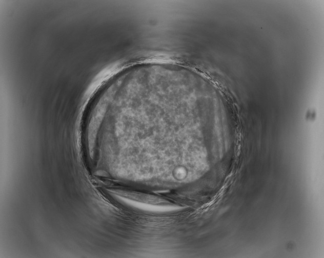 X0000097890296200804111025