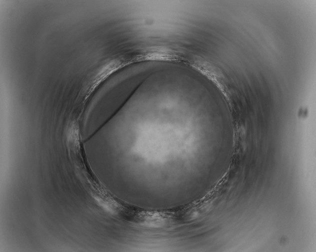 X0000097890297200804111025