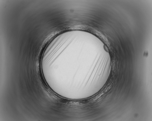 X0000097890298200804111025