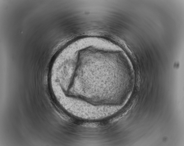 X0000097890299200804111025