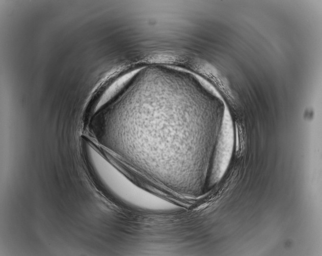 X0000097890300200804111025