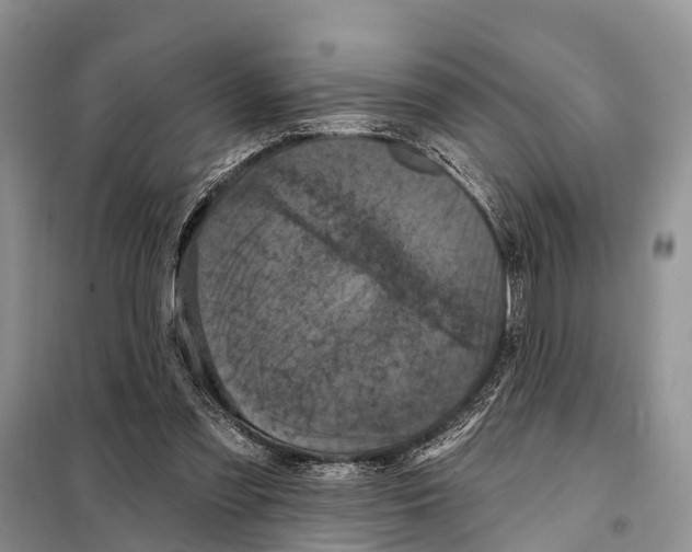 X0000097890301200804111025