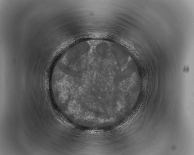 X0000097890303200804111025