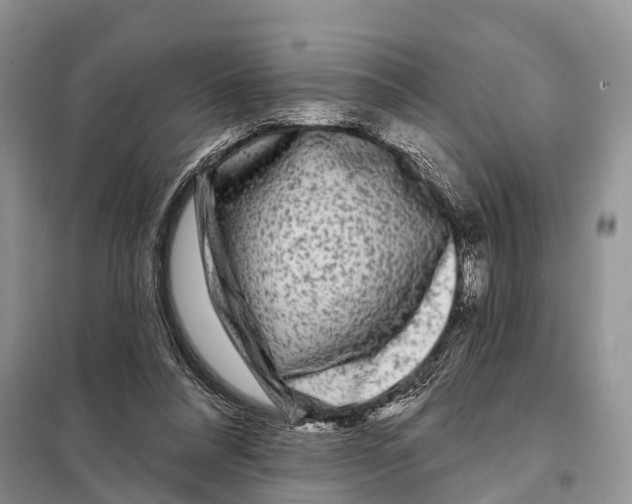 X0000097890304200804111025