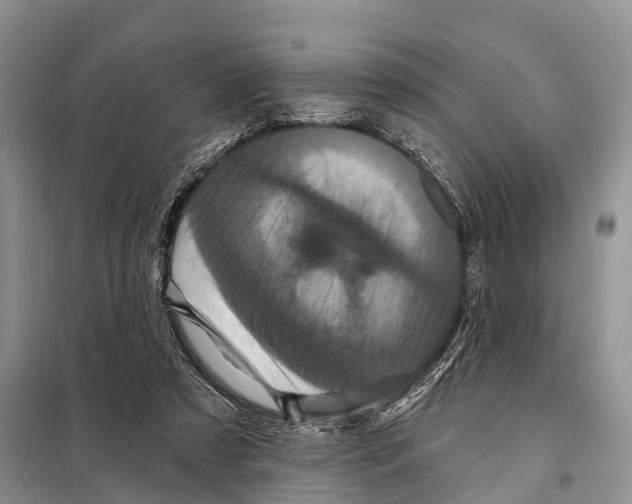 X0000097890305200804111025