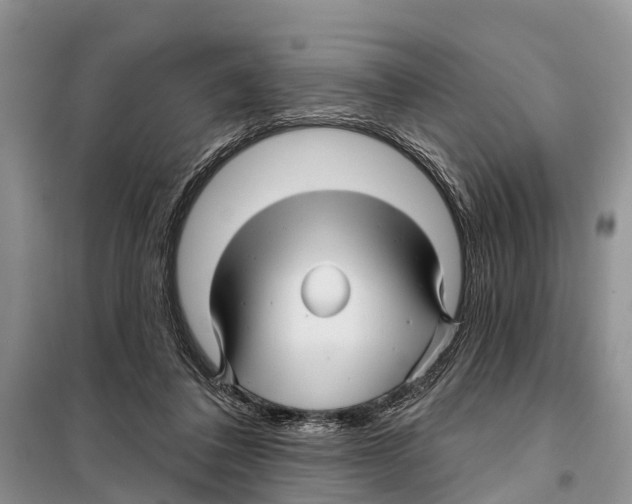 X0000097890308200804111025