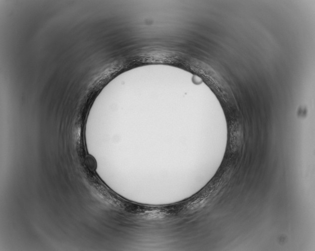 X0000097890310200804111025