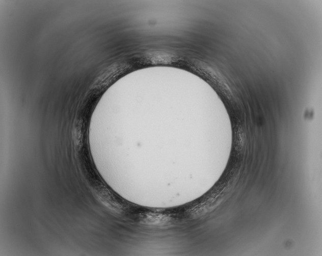 X0000097890311200804111025