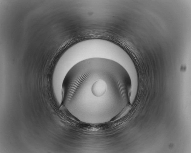 X0000097890312200804111025