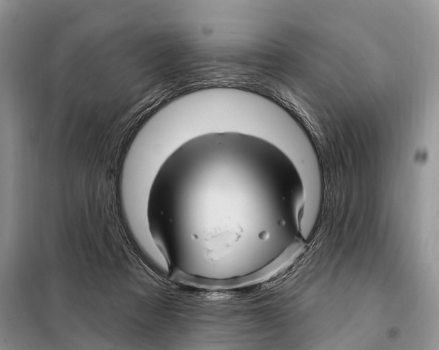 X0000097890313200804111025