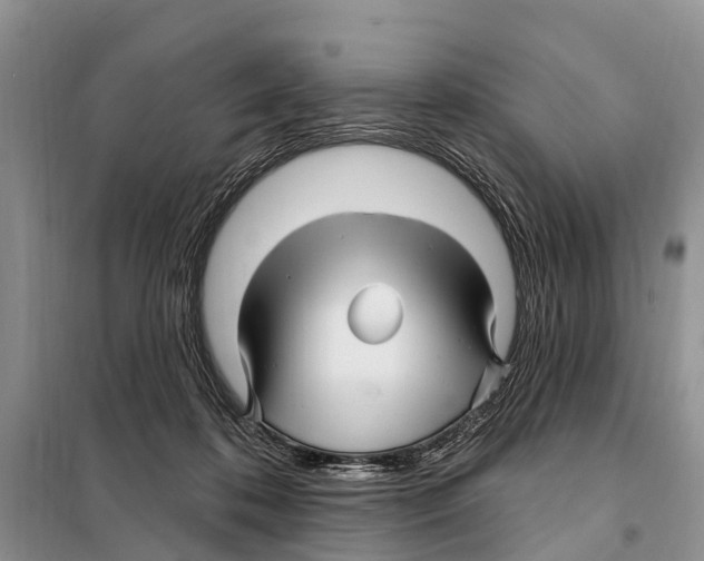 X0000097890316200804111025