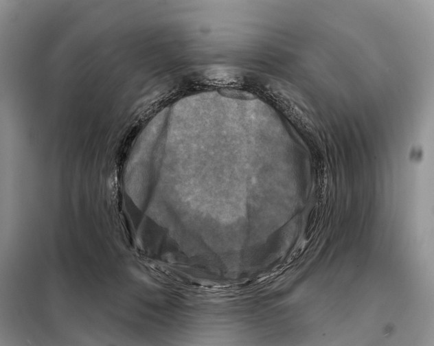 X0000097890320200804111025