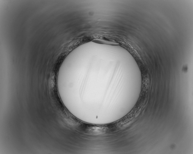 X0000097890323200804111024