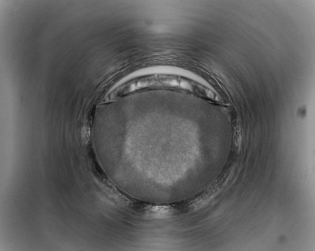 X0000097890324200804111024