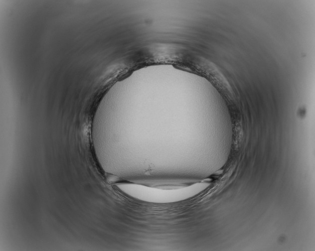 X0000097890329200804111024