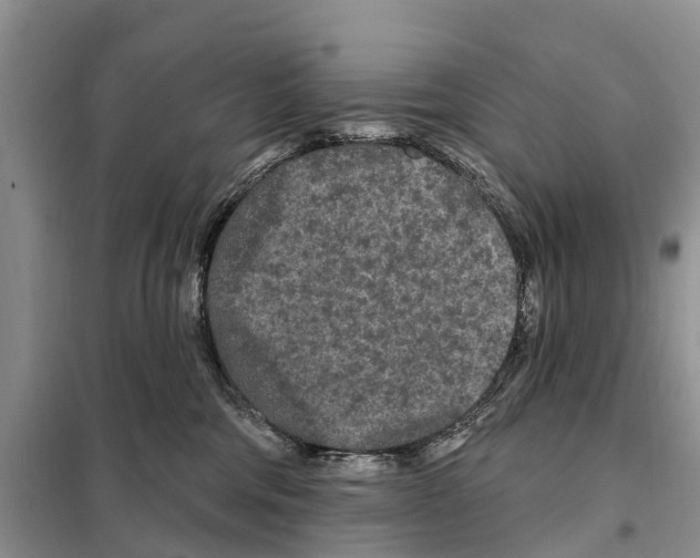 X0000097890330200804111024