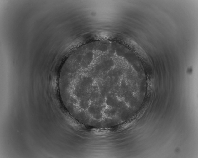 X0000097890331200804111024