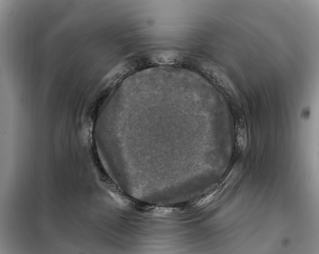 X0000097890332200804111024