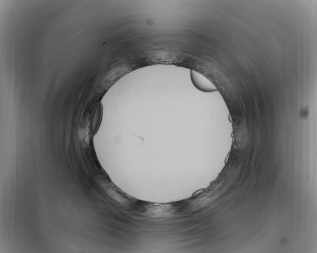 X0000097890334200804111024