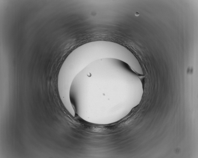 X0000097890336200804111024