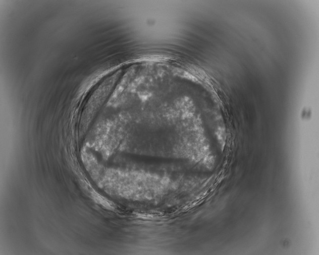 X0000097890337200804111023