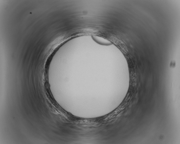 X0000097890338200804111023