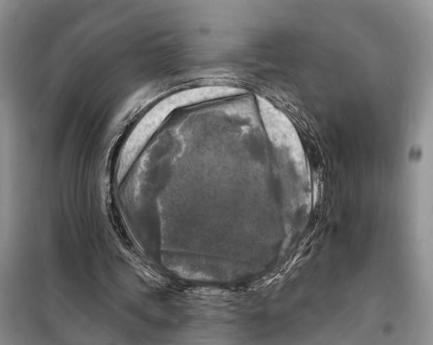 X0000097890339200804111023