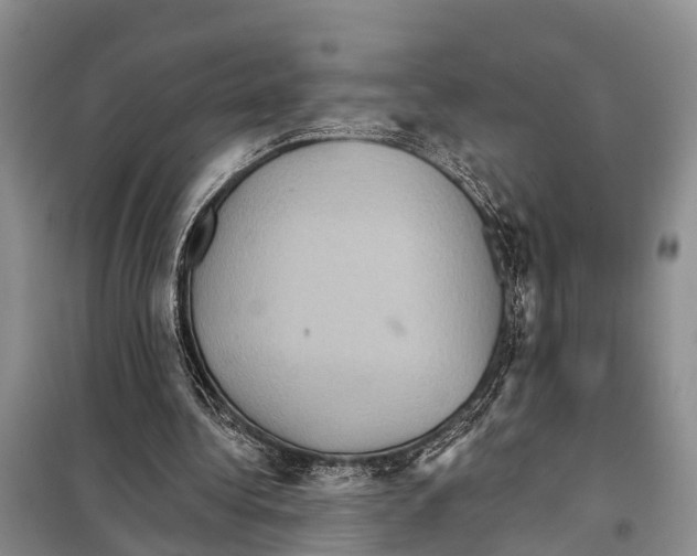 X0000097890340200804111023