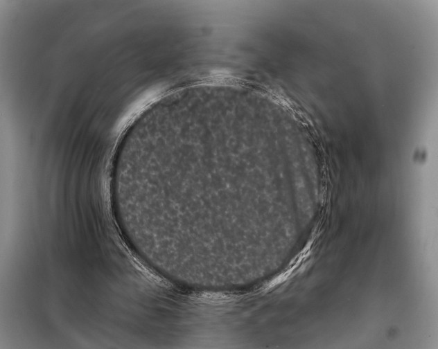 X0000097890341200804111024