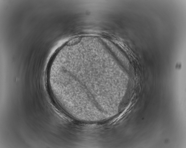 X0000097890342200804111024