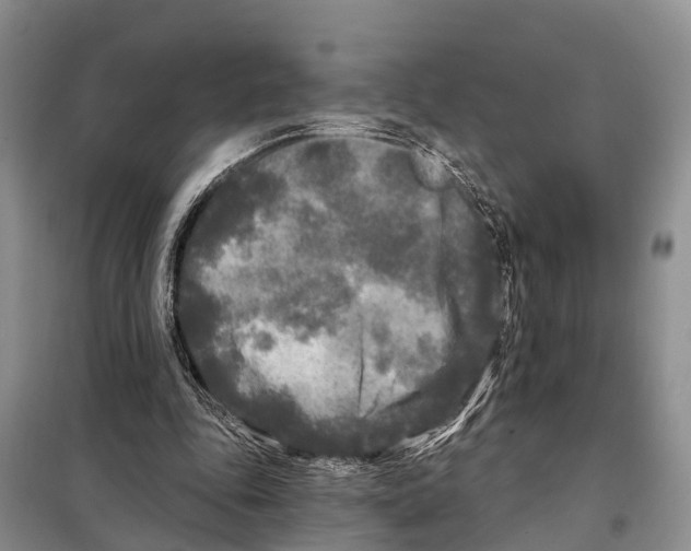 X0000097890343200804111024