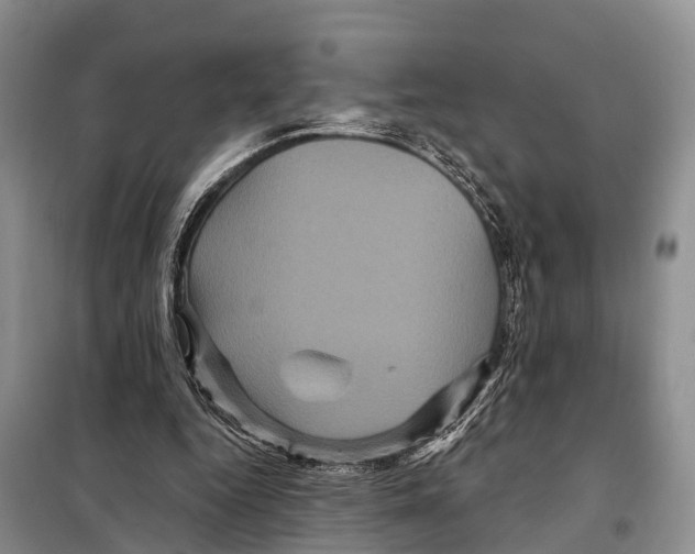 X0000097890344200804111024