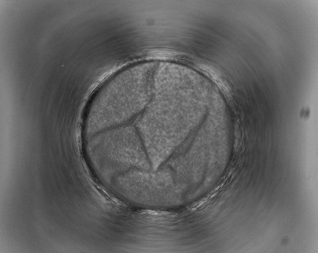 X0000097890346200804111024