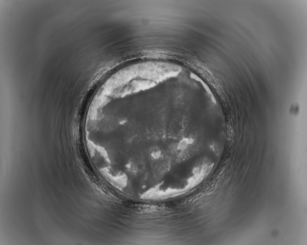 X0000097890347200804111024