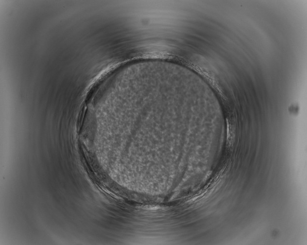 X0000097890348200804111024