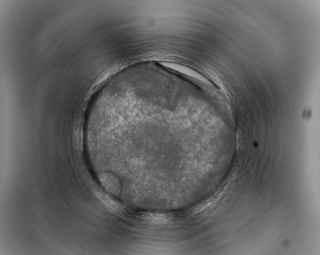 X0000097890349200804111024