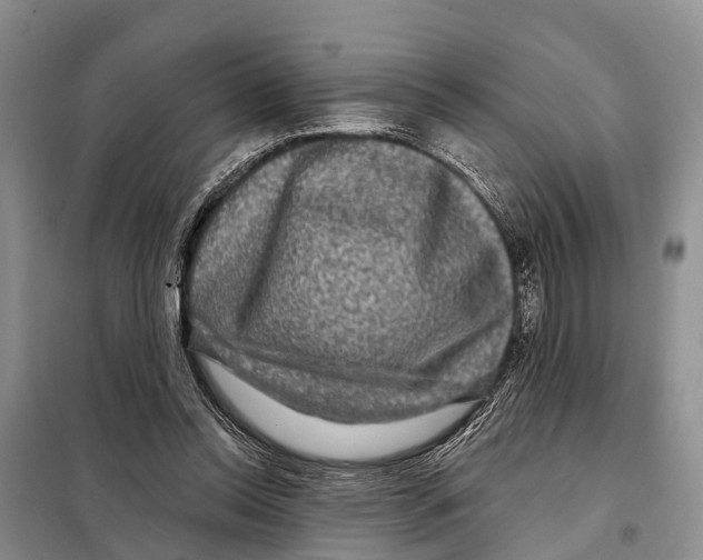 X0000097890350200804111024