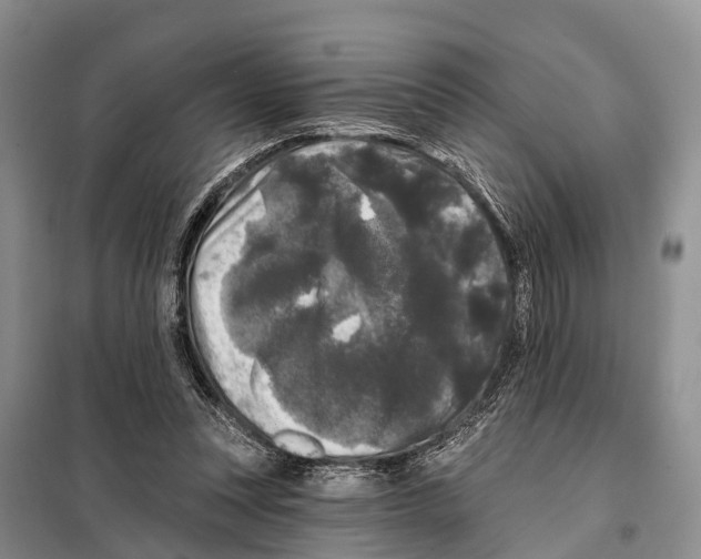 X0000097890351200804111024