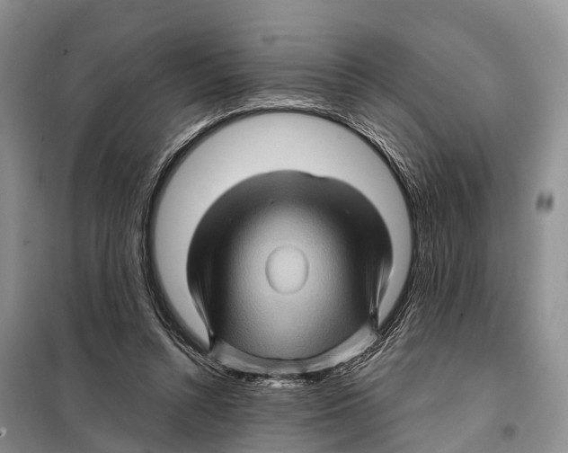 X0000097890352200804111024