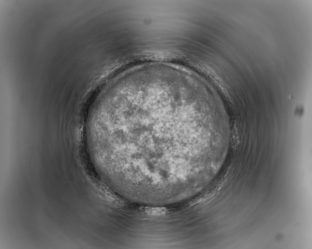 X0000097890355200804111024