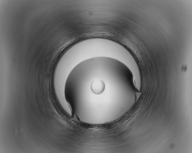 X0000097890356200804111024