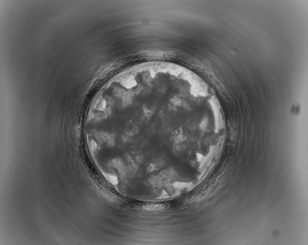 X0000097890357200804111024