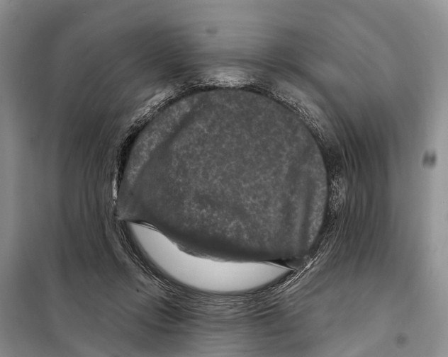 X0000097890358200804111024