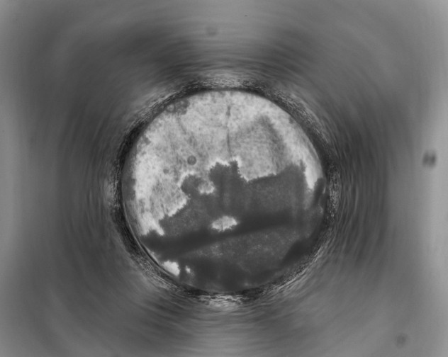 X0000097890359200804111024