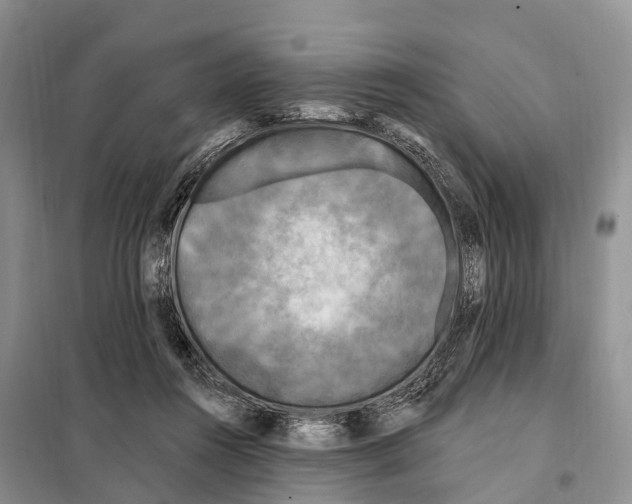 X0000097890360200804111024