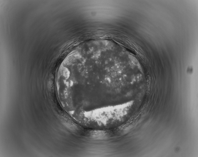 X0000097890361200804111024