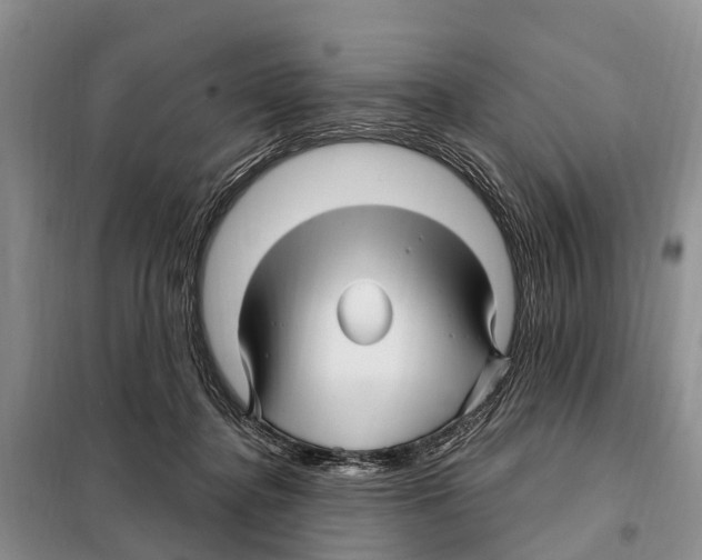 X0000097890364200804111024