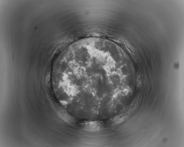 X0000097890365200804111024