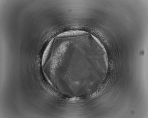 X0000097890366200804111024