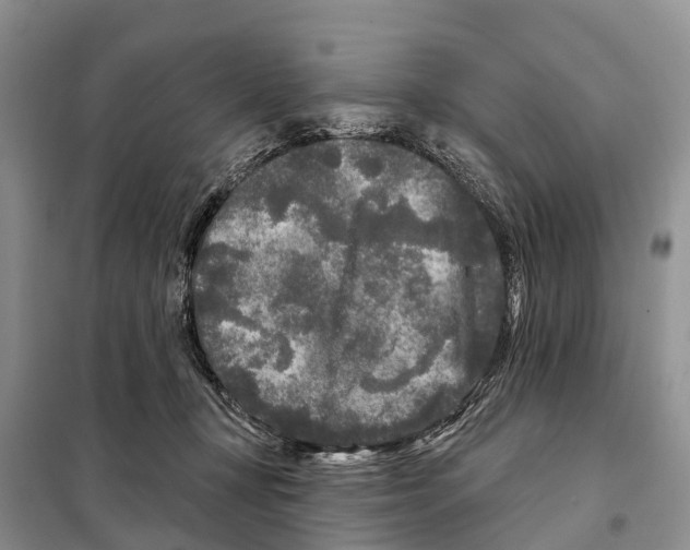 X0000097890367200804111024